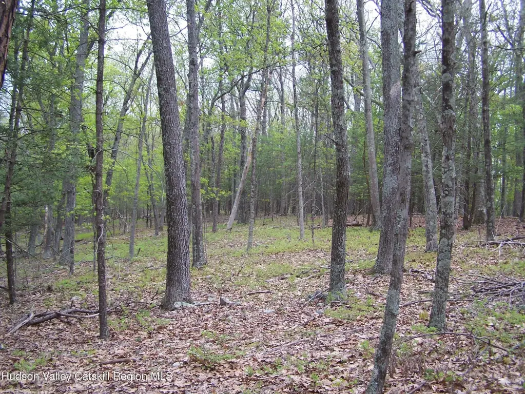 Picture 10