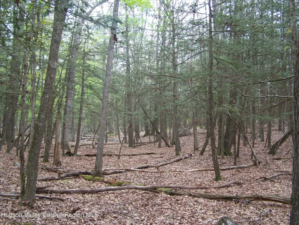 Picture 9