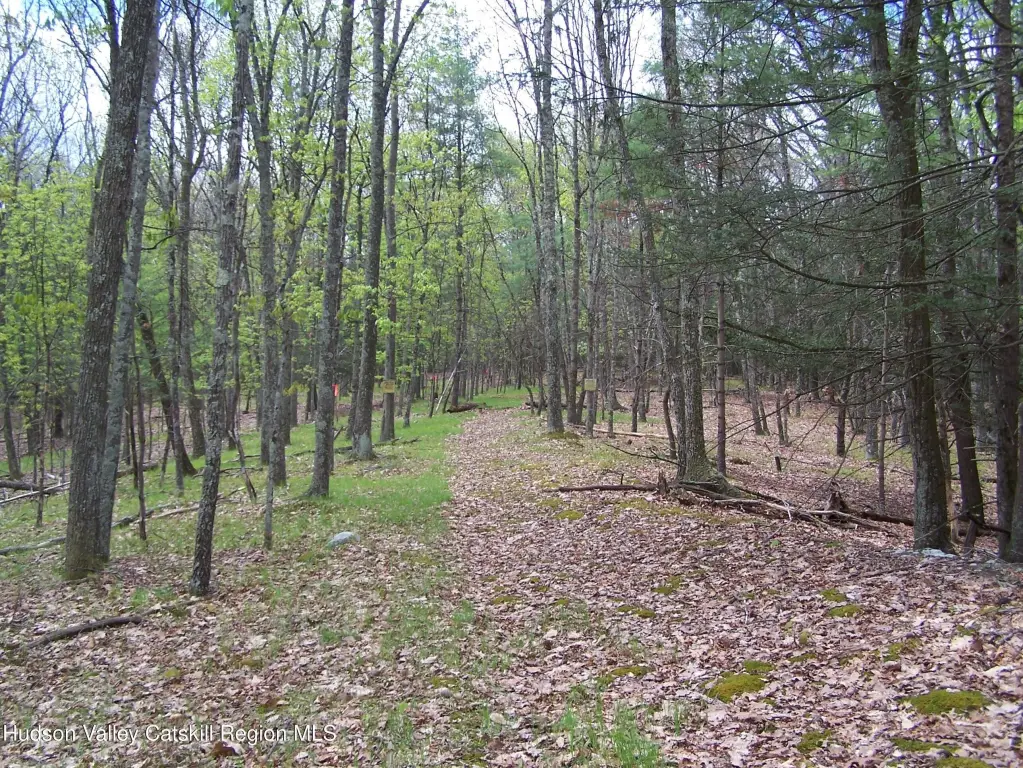 Picture 11
