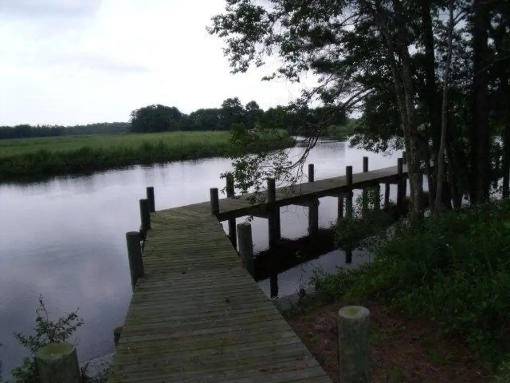 Picture 5