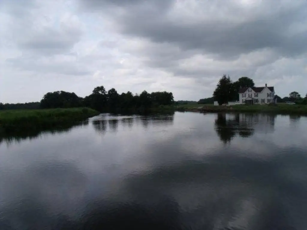 Picture 8