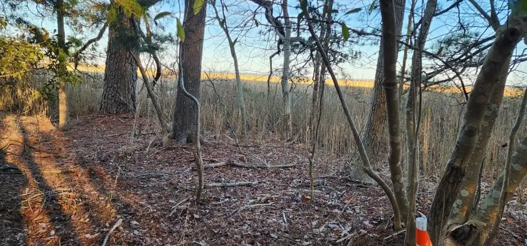 Picture 3