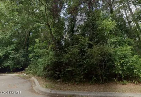 Wooded Lot in Kinston