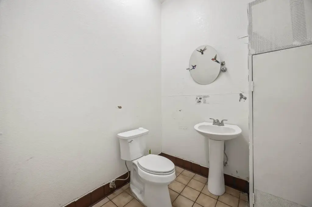 Picture 39
