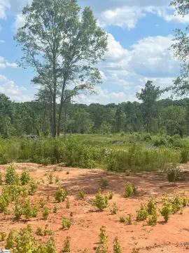 123 Acres Development Opportunity, Woodruff