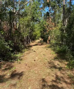 3-Acre Tract in Johnson Corner