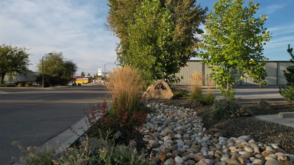 Picture 6
