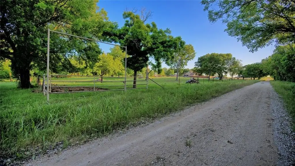 Picture 8
