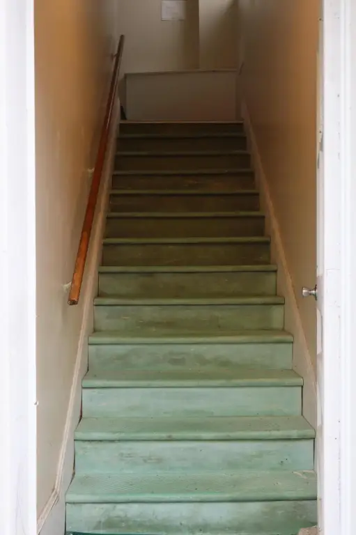 Picture 12