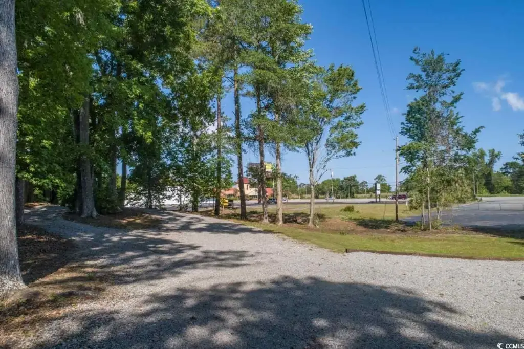 Picture 8