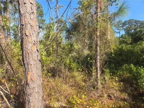 Residential Land in Lehigh Acres