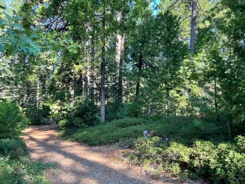 Commercial Lot in Downtown Arnold