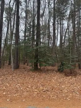 Land in Amenity-Rich Community