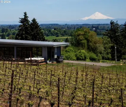 Organic Vineyard with Tasting Room