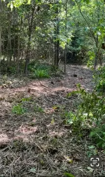 Mount Airy Unimproved Land