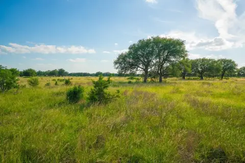 Vintage Oaks Ranch Land