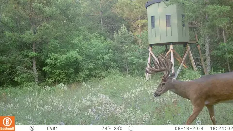 89.22 Acres Hunting Land