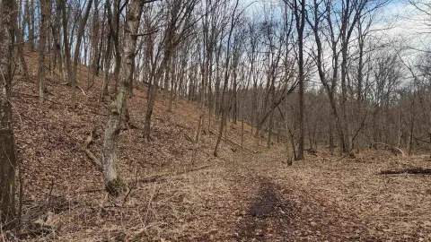 51 Acres Vacant Land For Sale