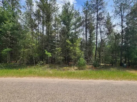 Wooded Lot Near Castle Rock