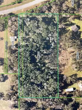 Wooded Land in Brooksville, Florida