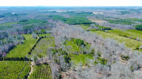 Pittsylvania County Acreage For Sale