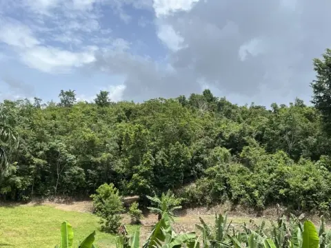 Land for Recreational Development