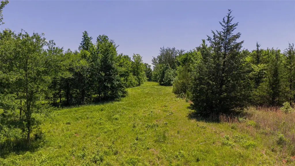Picture 16