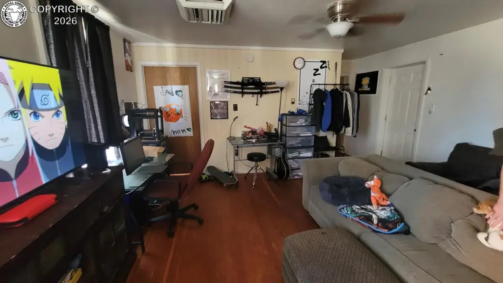 Picture 44