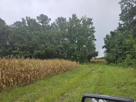 Salters, SC Hunting Land