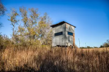 80 Acres of Rural Texas Land