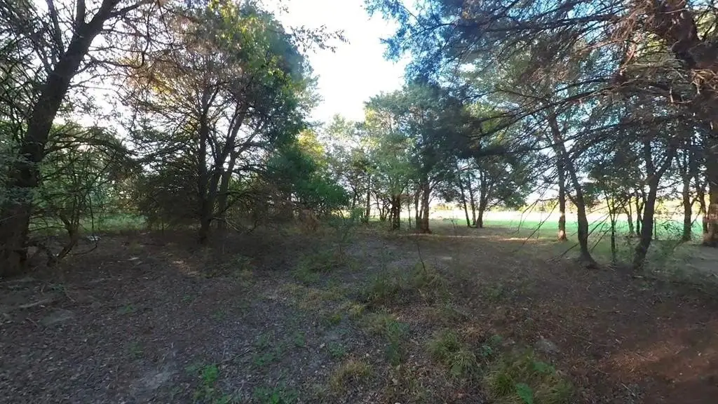 Picture 9