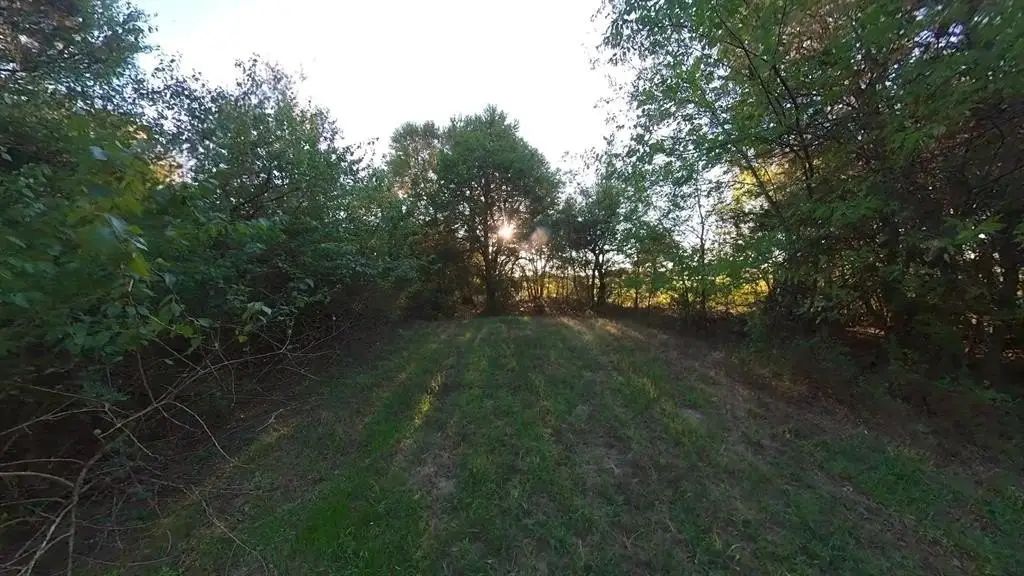 Picture 11