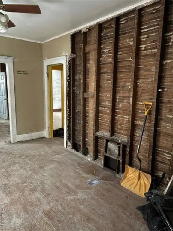 Picture 24