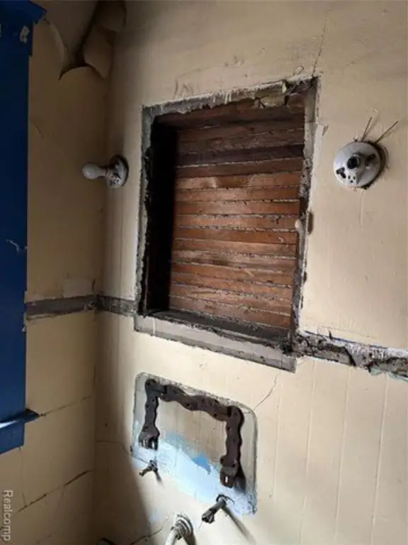 Picture 15