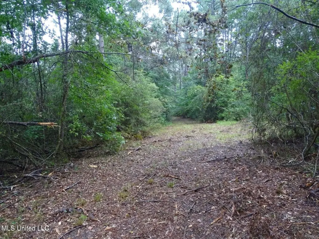 Picture 6