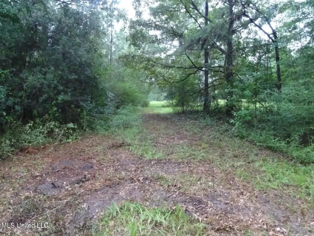 Picture 7