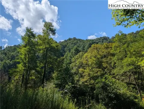 Creston, NC Land with Views