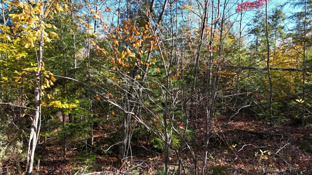 Picture 6