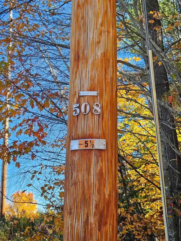 Picture 20