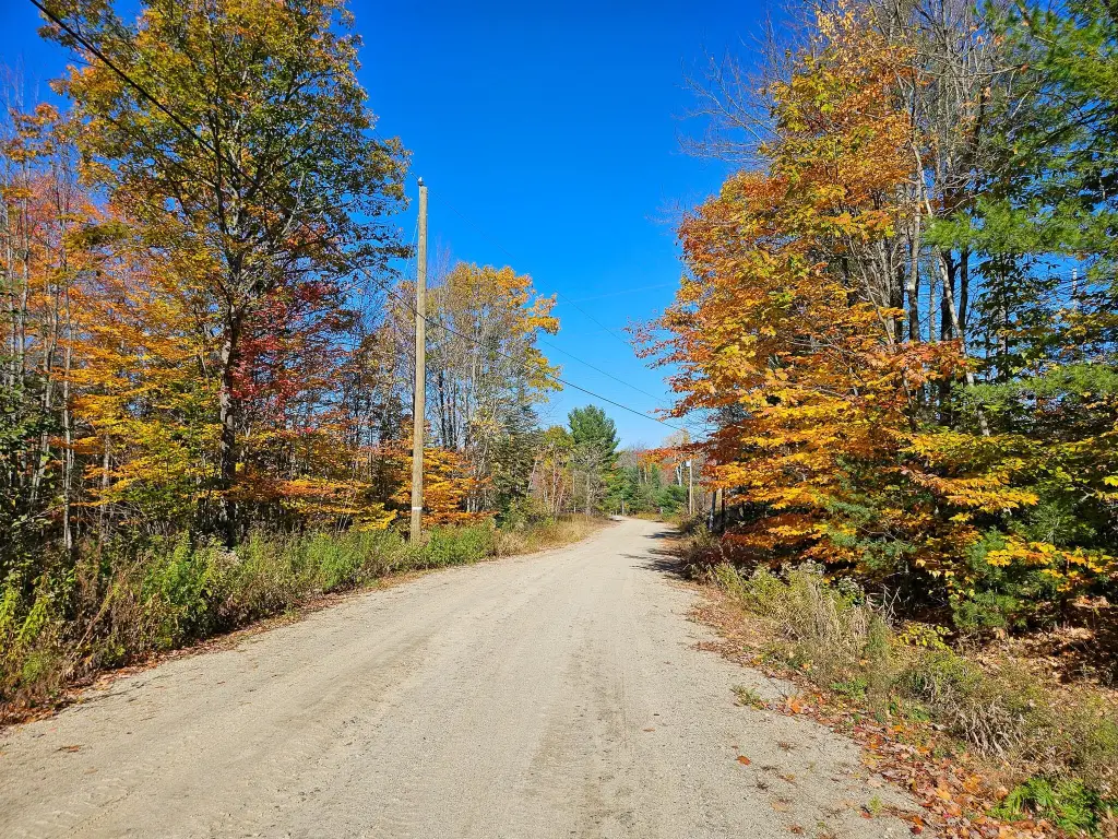 Picture 18
