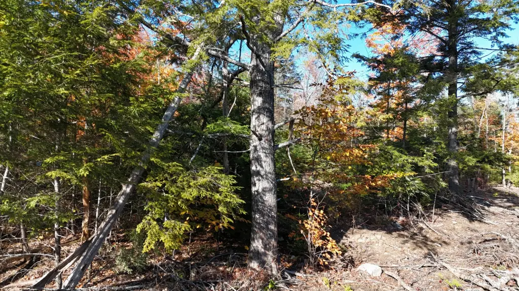 Picture 16