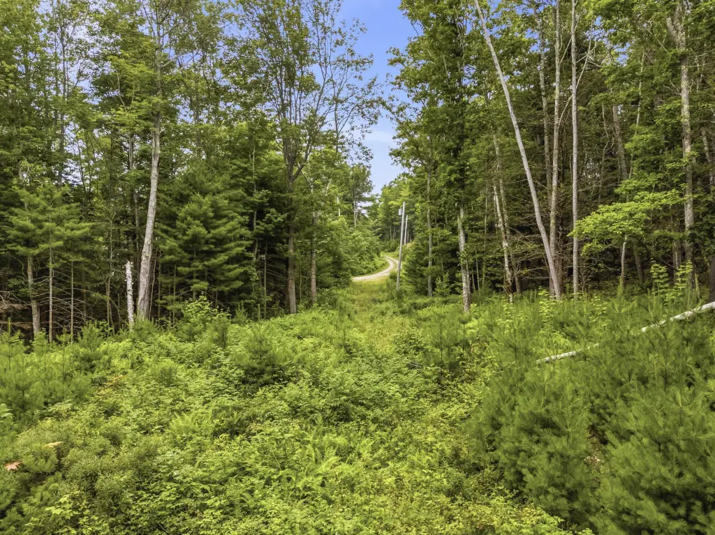 Picture 18