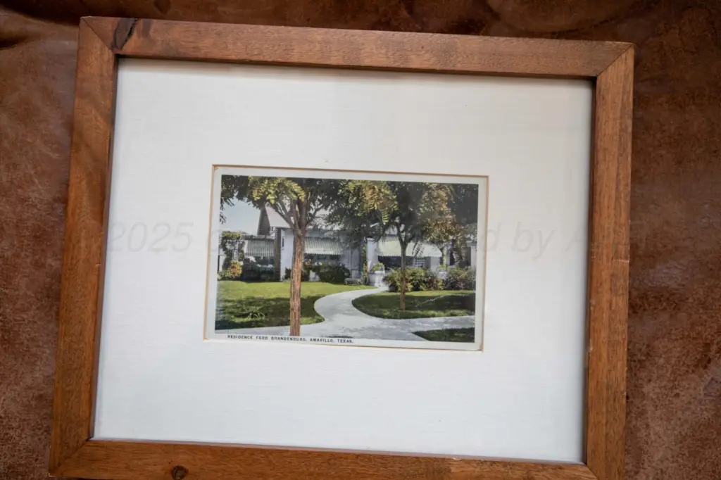 Picture 5