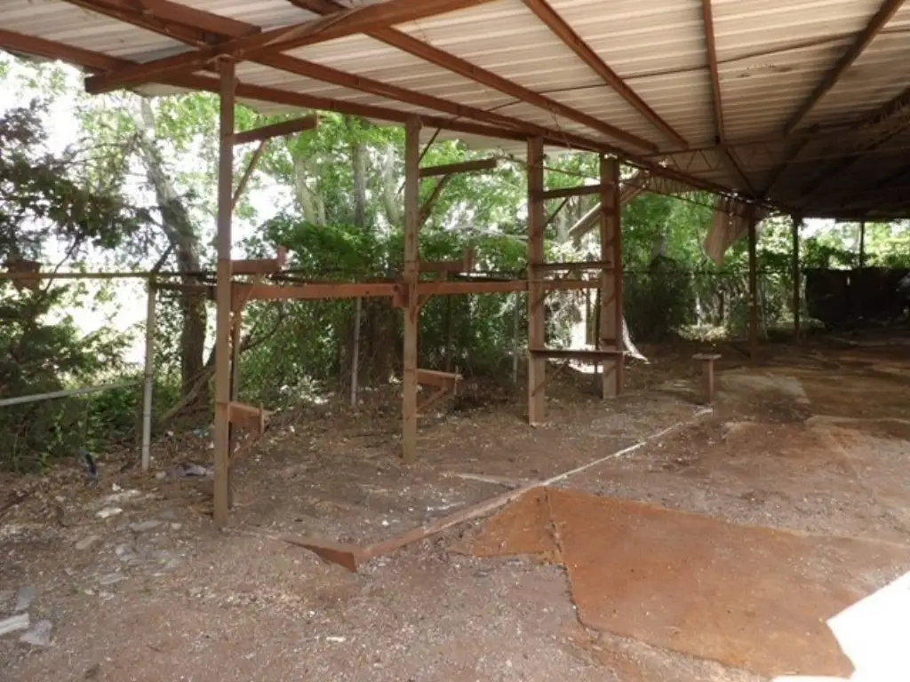 Picture 10