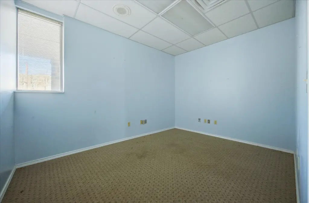 Picture 8
