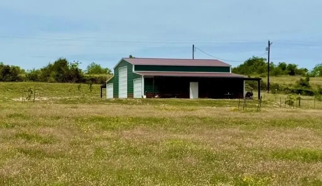Picture 21