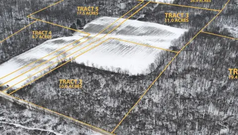 Mount Vernon Land Auction