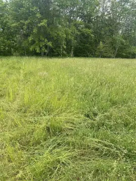 Two Acre Lot Near Charlevoix