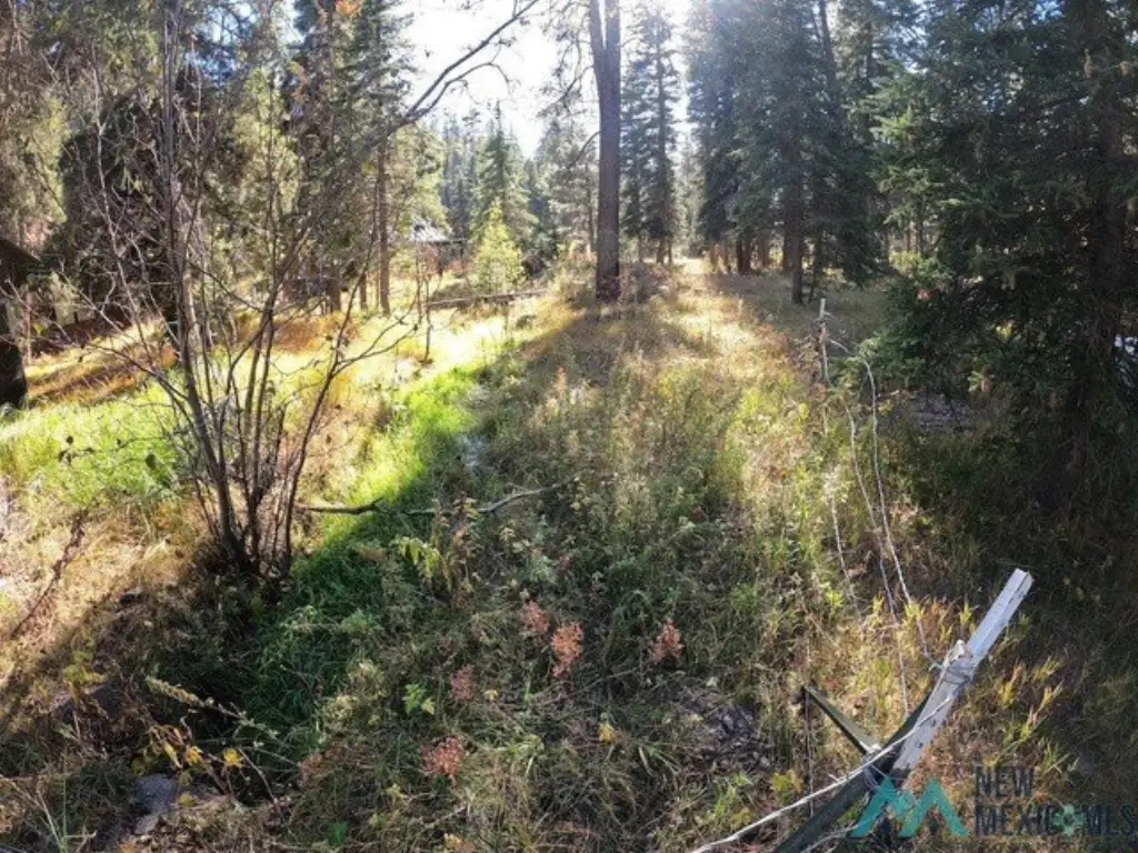 Picture 9