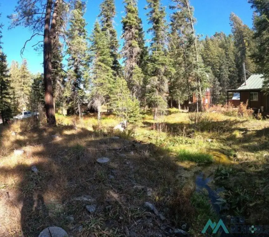 Picture 2